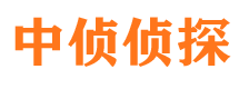 黄石港调查公司